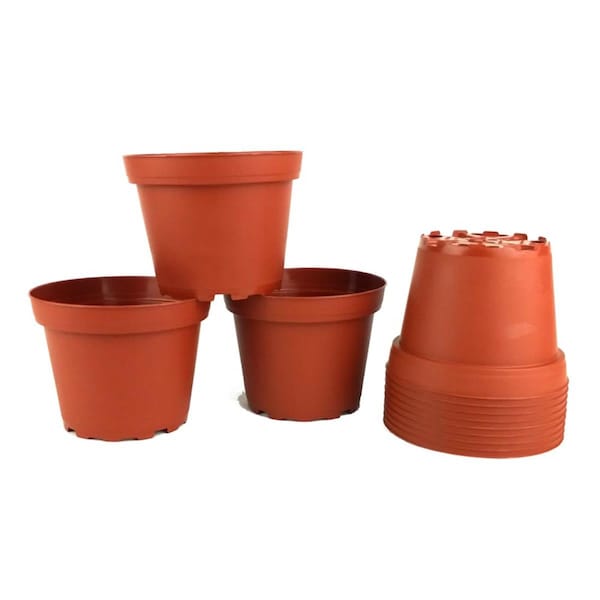 Poppelmann 4 in dia Plastic Terra Cotta Pots 12PK TO10D1012 - main